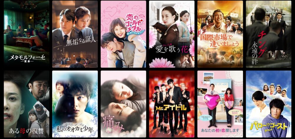 チャン・ヨンナム　ドラマ